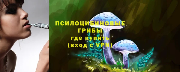 СК Бородино