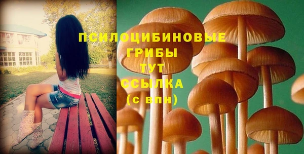 а пвп мука Бугульма