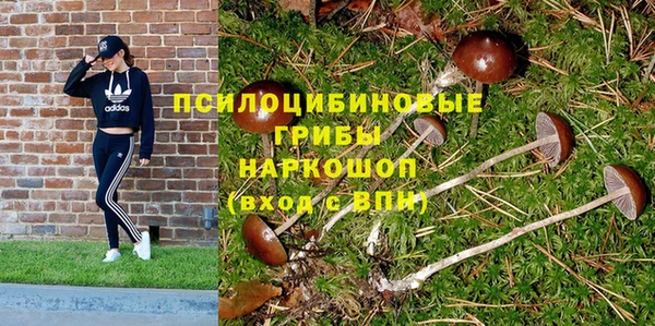 СК Бородино