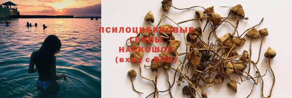 а пвп мука Бугульма