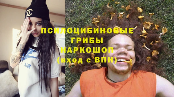 СК Бородино