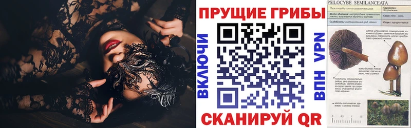 Галлюциногенные грибы MAGIC MUSHROOMS  Луза 